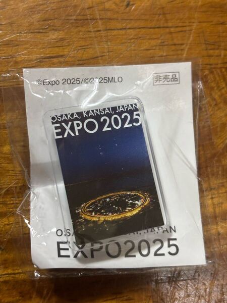 大阪・大阪関西万博限定 ピンバッジ ミャクミャクハウス 大屋根リング