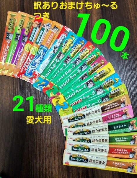 999 いなば 総合栄養食ちゅ~るごはん & wanちゅ~る 22種類合計100本プラス4本おまけつき! 犬用ちゅ~る