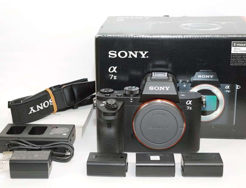 2025年最新】Yahoo!オークション -α7iiの中古品・新品・未使用品一覧