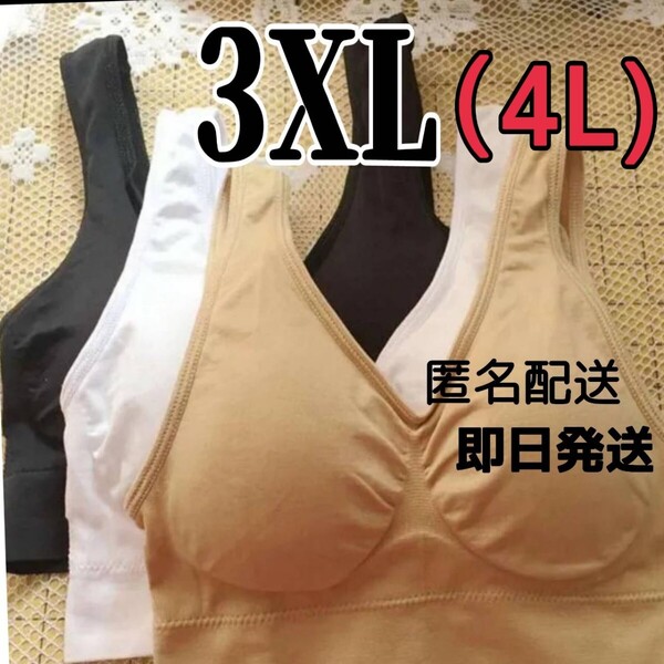 ジニエブラ スポブラ ナイトブラ 3XL(4L)サイズ ブラック、ベージュ、ホワイト3枚セット