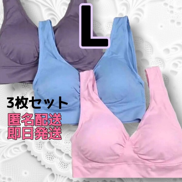 ジニエブラ スポブラ ナイトブラ Lサイズ ピンク、ブルー、パープル 3枚