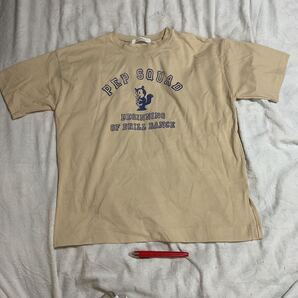 半袖Tシャツ F 肩幅54身幅53着丈65袖20裾スリ10cm 500円超10%オマケ ポリ65綿35% ベージュにリスの絵と英文字 Ray Cassin 中国
