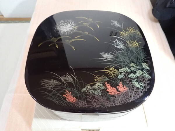 二段重箱 お花見、運動会等に【未使用、美品】