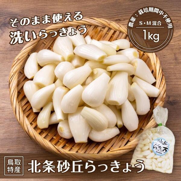 【農薬:栽培期間中不使用】砂丘らっきょう 1kg 洗いらっきょう 鳥取 ラッキョ