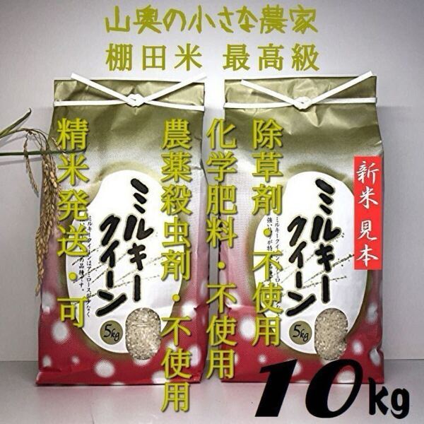自然栽培】ミルキークィーンが無農薬 玄米10kg「精米し発送」ミルキークィーン