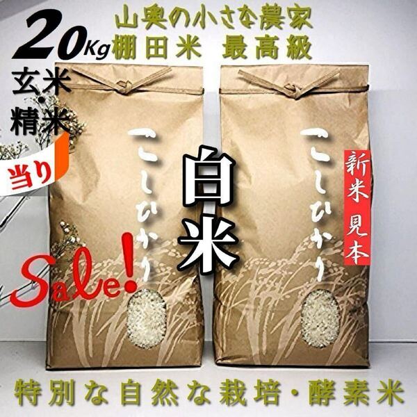 【希少】コシヒカリの酵素米/玄米20kg「標準白米に精米」 (ミルキークィーン ミルキークイーン つや姫)