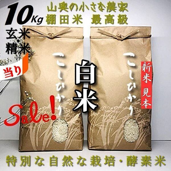 【希少】コシヒカリの酵素米 玄米10kg「標準白米に精米」 (ミルキークィーン ミルキークイーン つや姫)