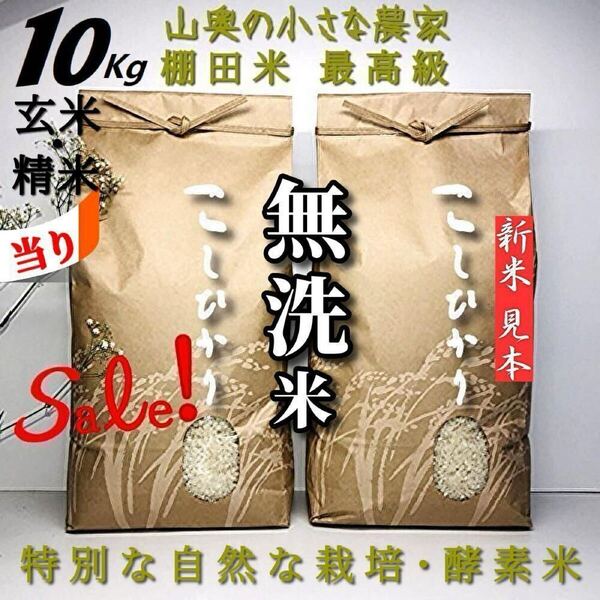 【希少】コシヒカリ/酵素米 玄米10kg「無洗米に精米」 (ミルキークィーン ミルキークイーン つや姫)
