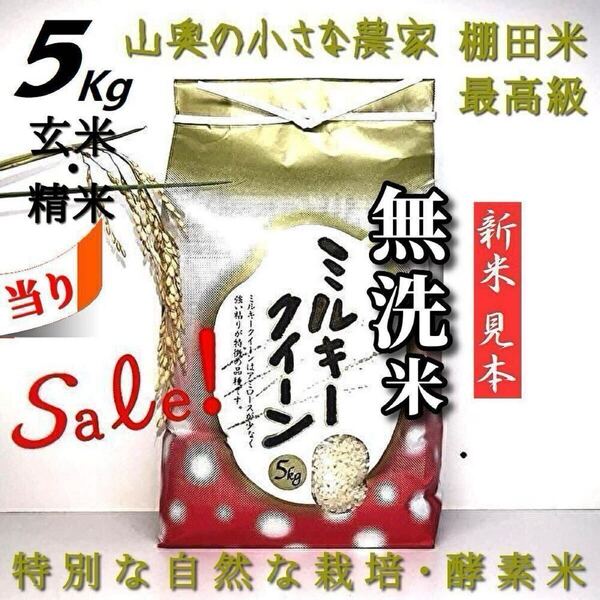 【超希少】ミルキークイーン 酵素米 玄米5kg「無洗米に精米」 (コシヒカリ つや姫 ミルキークィーン)