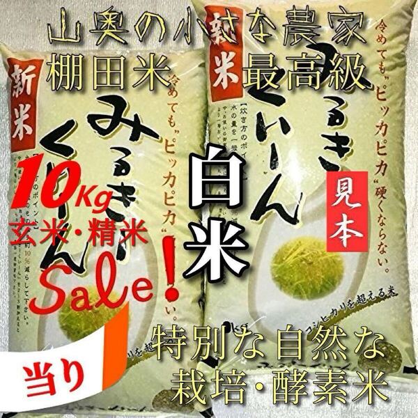 【超希少】ミルキークイーンの酵素米/玄米10kg「標準白米に精米」 (コシヒカリ つや姫 ミルキークィーン)