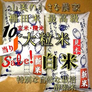 【超希少】棚田米 酵素米 大粒米 玄米10Kg「標準白米に精米」