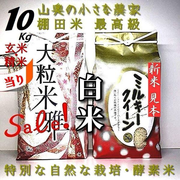 【食べ比べ】酵素米 ミルキークィーン と 大粒ダイヤ 計 玄米10kg「標準白米に精米」 (コシヒカリ つや姫 ミルキークイーン)