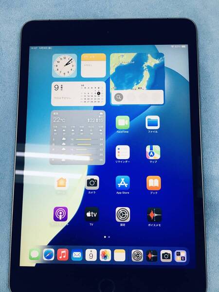 【送料無料】美品 電池87% SIMフリー Apple iPad mini 第5世代 Wi-Fi + Cellular 64GB スペースグレイ