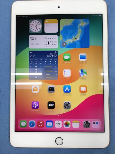 【送料無料】液晶美品 電池82% Apple iPad mini 第5世代 Wi-Fi 64GB ゴールド 液晶周辺部黄ばみ 訳あり