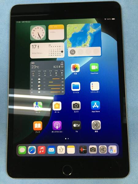 【送料無料】外観美品 電池84% Apple iPad mini 第5世代 Wi-Fi 64GB スペースグレイ