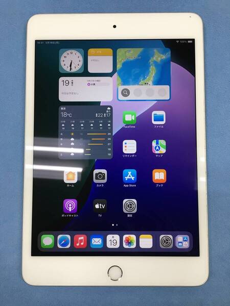 【送料無料】電池78% Apple iPad mini 第5世代 Wi-Fi 64GB シルバー 電源ボタン少々陥没 訳あり