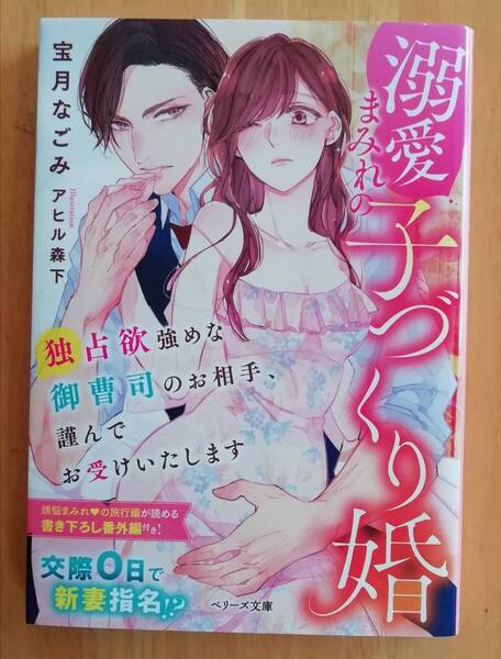 溺愛まみれの子づくり婚 独占欲強めな御曹司のお相手、謹んでお受けいたします (ベリーズ文庫 ほ3-7) 宝月なごみ/著