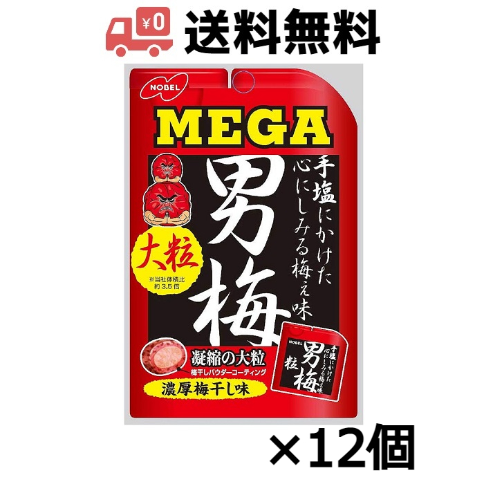 定率割引 西日本 2025年最新】Yahoo!オークション -男梅の中古品・新品・未使用品一覧 その他