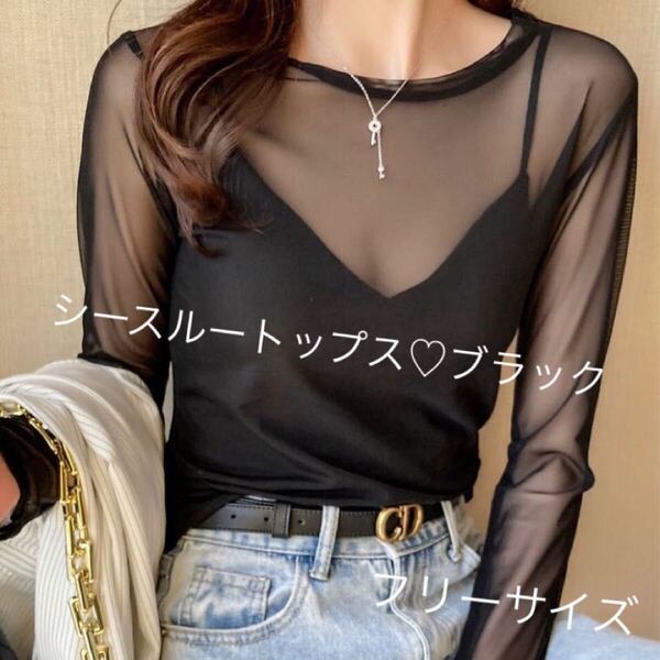 シースルートップス シアー ブラック フリーサイズ 黒 透け感 インナー レイヤード 長袖 トレンド オシャレ 重ね着 レディース 女子力 韓国