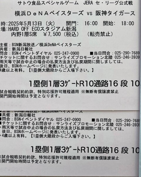 【前方通路】 新潟 5/13 阪神タイガース vs 横浜DeNAベイスターズ S席 1塁側 2枚
