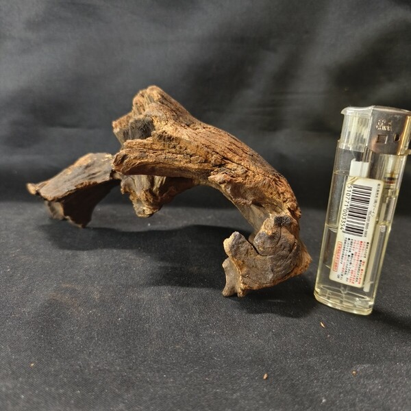 天然流木 アクアリウム 赤系 盆栽 全長約30cm 苔 造景 未使用美品