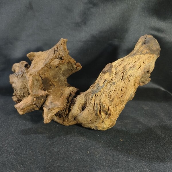天然流木 アクアリウム 赤系 盆栽用 全長約23cm 苔造景 未使用美品