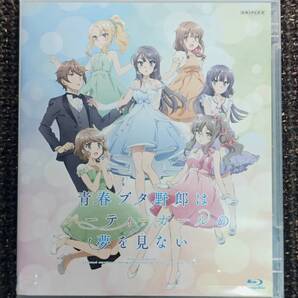 青春ブタ野郎はパーティーガールの夢を見ない Blu-ray