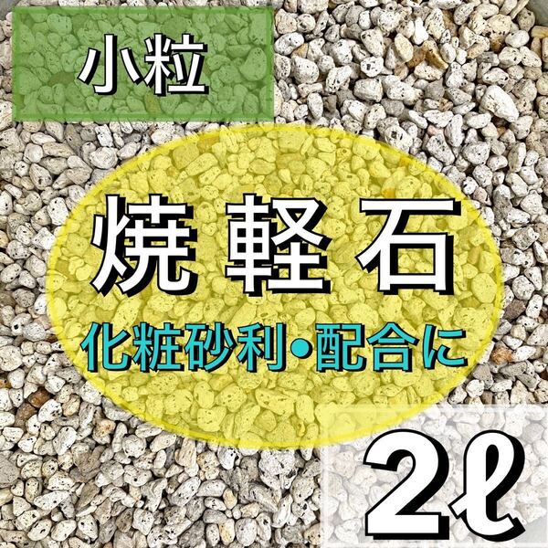 焼軽石 2リットル 小粒 多肉植物 サボテン 観葉植物 土 魂根植物 ガーデニング