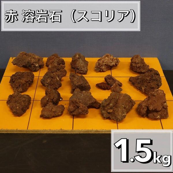 レッドスコリア 1.5kg アクアリウム 水槽レイアウト アロマ パルダリウム コケリウム 飾り石 石材 目留め ストーン龍王 清 ADA 天然