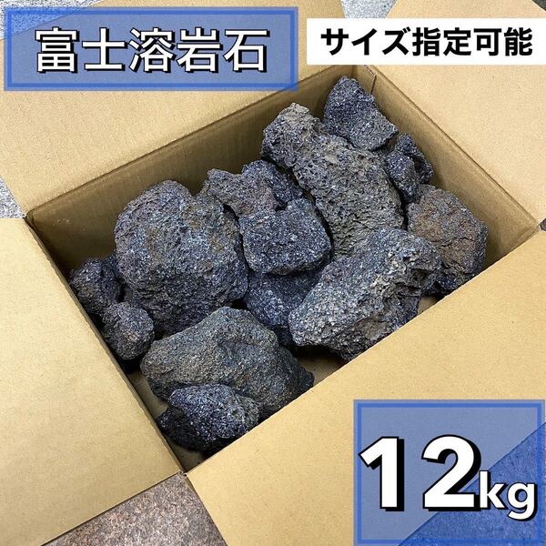 富士溶岩石 12kg アクアリウム 水槽レイアウト アロマ パルダリウム コケリウム 飾り石 石材 目留め ストーン龍王 清 ADA 天然