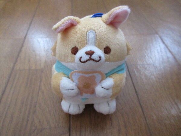 忠犬もちしば みんなのごちそうマスコット こむぎ