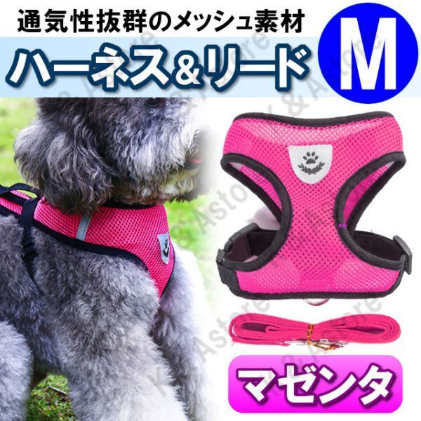 ハーネス リード メッシュ ペット 犬用 猫用 散歩 抜けない 脱げない 首輪 胴輪 超小型犬用 小型犬用 Mサイズ マゼンタ