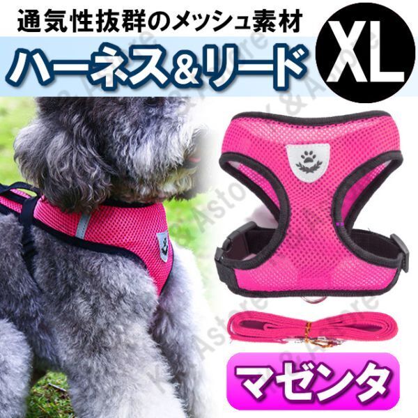 ハーネス リード メッシュ ペット 犬用 猫用 散歩 抜けない 脱げない 首輪 胴輪 超小型犬用 小型犬用 XLサイズ マゼンタ