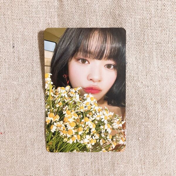 #TWICE5 ジョンヨン トレカ 初回限定盤 A TWICE アルバム フォトカード photocard 特典 初回限定盤A カード