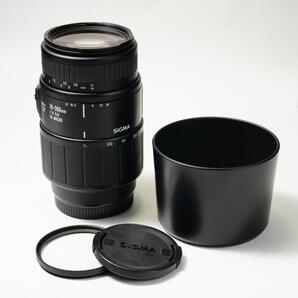 【望遠マクロ】シグマ 70-300mm F4-5.6 DL MACRO ソニーA