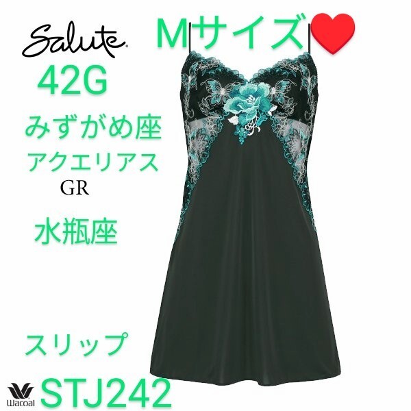 Wacoal/ワコール/salute/サルート/42G/42グループ/みずがめ座/水瓶座/アクエリアス/スリップ/ロングキャミソール/M/Mサイズ/GR/STJ242