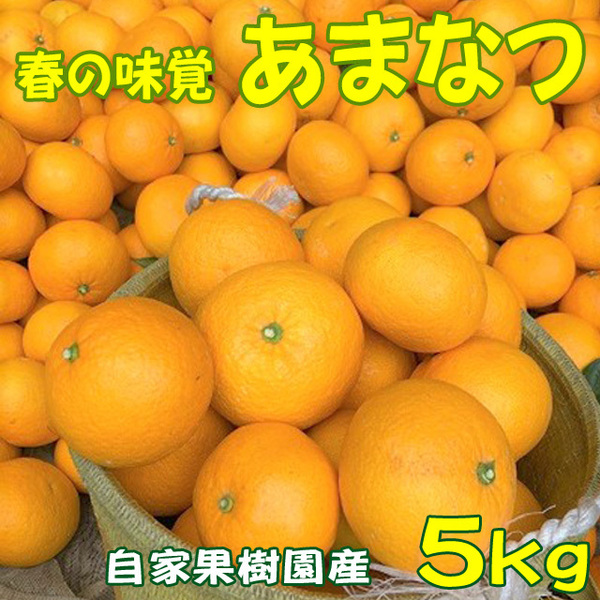 あまなつ 甘夏 5kg 送料無料 春の味覚を産地直送