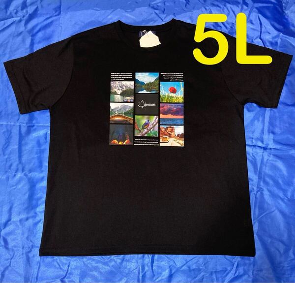 ロゴスデイズ ロゴス フォト アウトドア 半袖Tシャツ メンズ大きいサイズ 5L