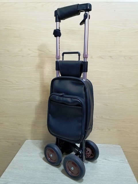 キャリーステッキライトの値段と価格推移は？｜1件の売買データ