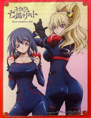 コードギアス 亡国のアキト 第2章 レイラ・マルカル&香坂アヤノ B3タペストリー 「Blu-ray/DVD 」 ゲーマーズ購入特典