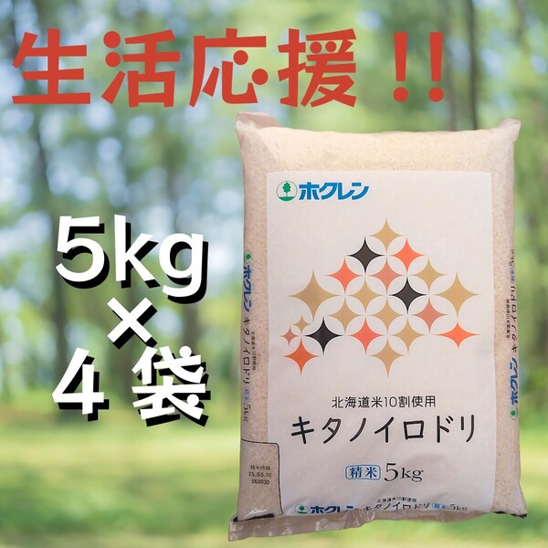 北海道産 キタノイロドリ ブレンド米 精米 白米 5kg×4袋 計20kg 5月中旬 精米