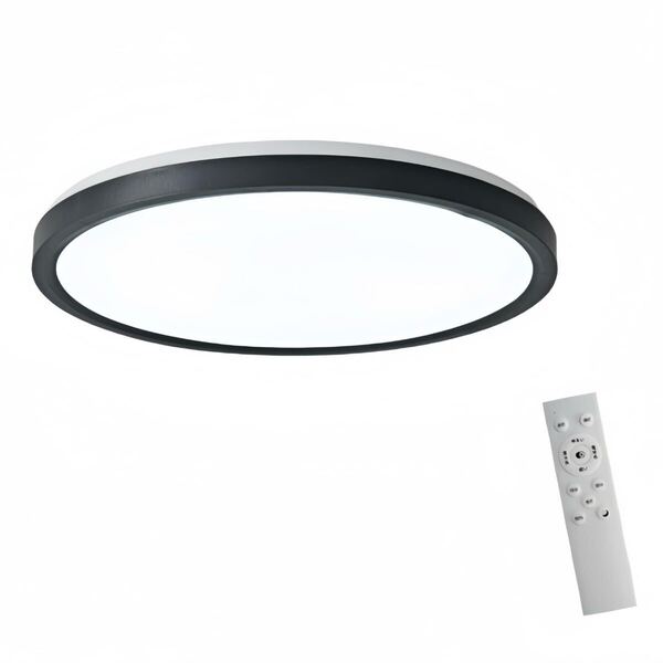 シーリングライト LED 天井照明 常夜灯 リモコン付き 省エネ 黒 昼光色 シーリングランプ 36W 8畳 10畳 12畳 新品