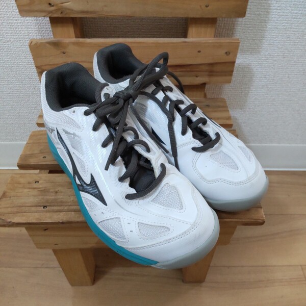値下交渉OK☆男女兼用・カーペットコート用テニスシューズ/24.0cm/ブレイクショット3/BREAK SHOT 3/MIZUNO/ミズノ/②