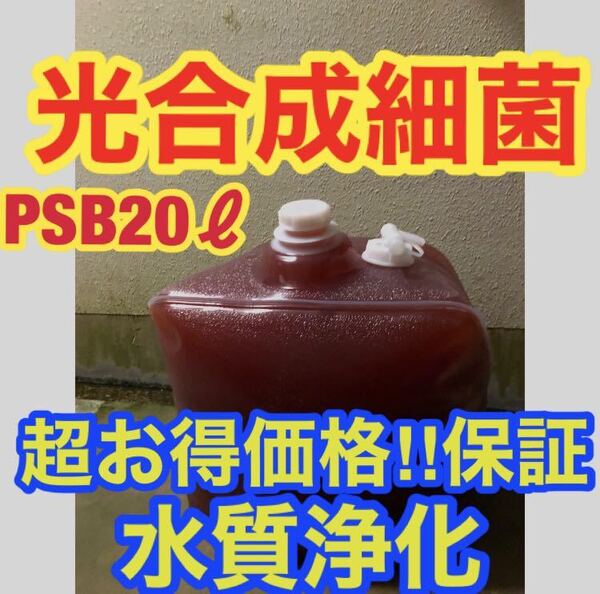 沖ちゃんメダカ【送料無料】濃縮 光合成細菌PSB バクテリア メダカ めだか 金魚 グッピー ミジンコ 稚魚 針子 20Lバロンボックス