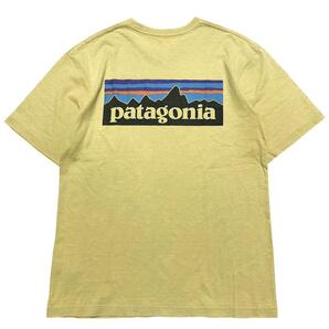2019 patagonia パタゴニア ロゴ Tシャツ