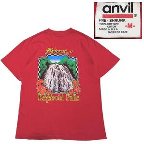 【90s】 USA製 anvil アンビル ヴィンテージ Tシャツ