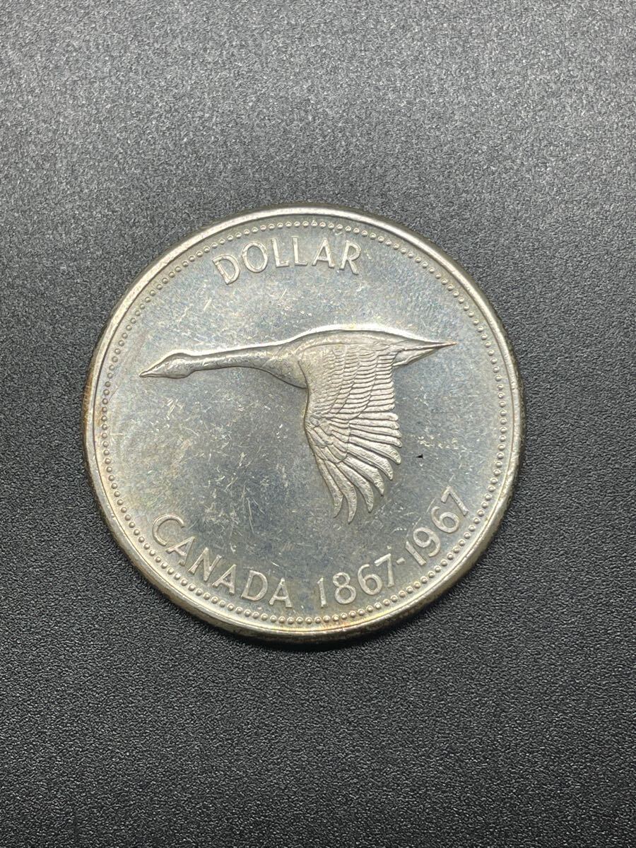 2025年最新】Yahoo!オークション -カナダ 1ドル 銀貨の中古品