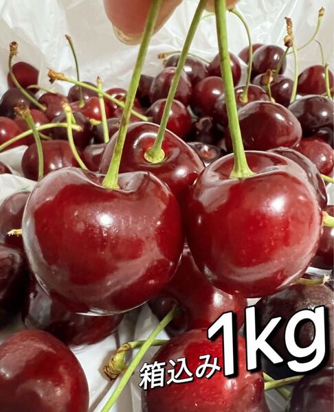 10.5r大粒アメリカンチェリー箱こみ1kg 父の日 中元 家庭用 ポスト投函 車厘子 美國櫻桃 さくらんぼ 国内検品発送