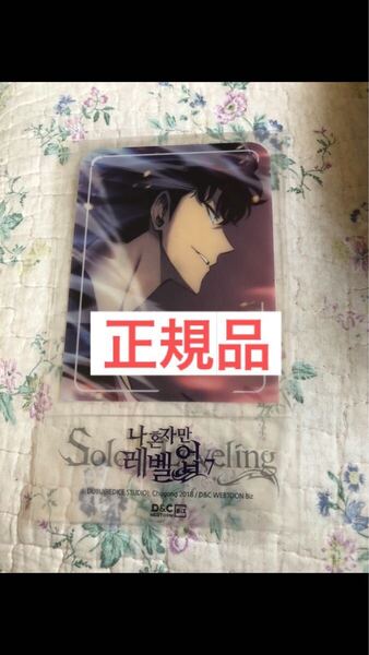 未開封 petスタンド 正規品 俺だけレベルアップな件 ソロレベリング Solo Leveling