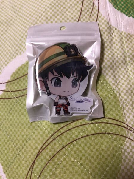 イベント配布品 俺だけレベルアップな件 ソロレベリング Solo Leveling